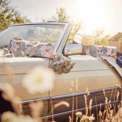 Picknickdecke L 175 X B 154cm BETWEEN FLOWERS In Creme 25 Picknickdecke L 175 X B 154cm BETWEEN FLOWERS In Creme -Heimtextilien butlers picknickdecke l 175 x b 154cm between flowers in creme 11