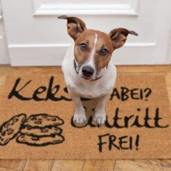 Fußmatte Kekse Dabei? Eintritt Frei! In Natur/Schwarz - 40 X 60 Cm -Heimtextilien relaxdays fussmatte kekse dabei eintritt frei in natur schwarz 40 x 60 cm 4